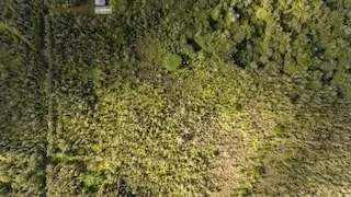 Road 2, Mountain View, HI 96760