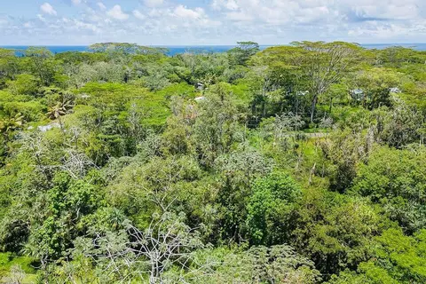 Nenue St, Pahoa, HI 96778