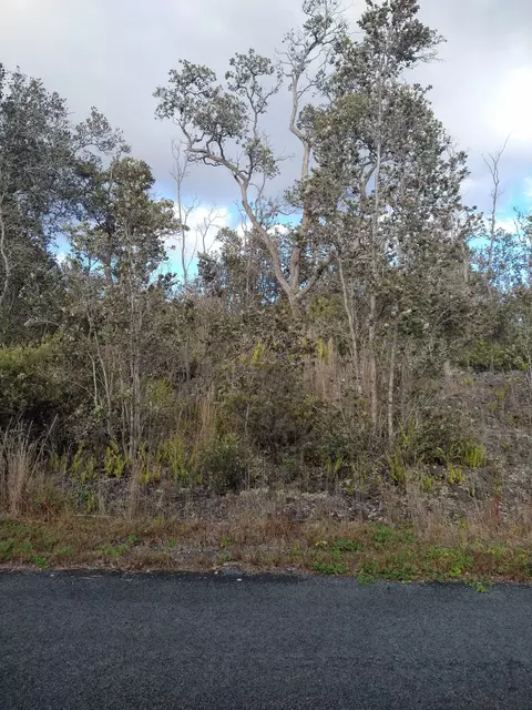 Tiki Ln, Ocean View, HI 96737