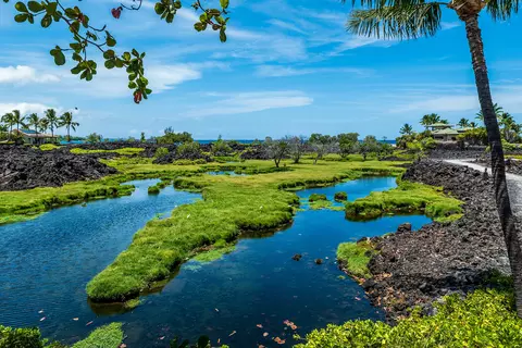 69-1035 Keana Pl #315, Waikoloa, HI 96738