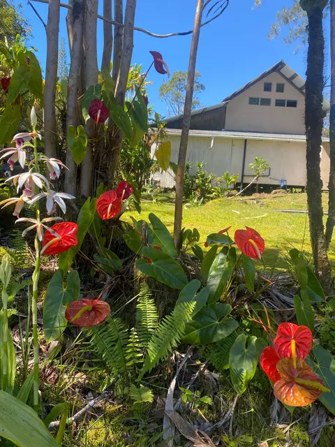 11-1860 Mahina St, Mountain View, HI 96771