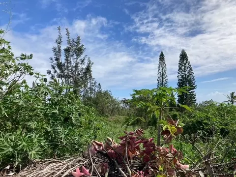 Kaulua Circle, Naalehu, HI 96772