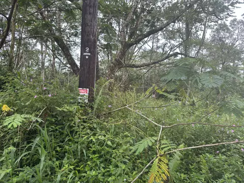 Pahoa Circle, Pahoa, HI 96778