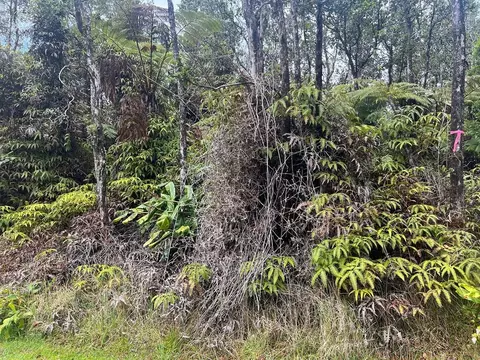 Ala Ohia St, Volcano, HI 96785