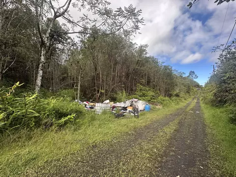 18-1272 Kauai St, Mountain View, HI 96771