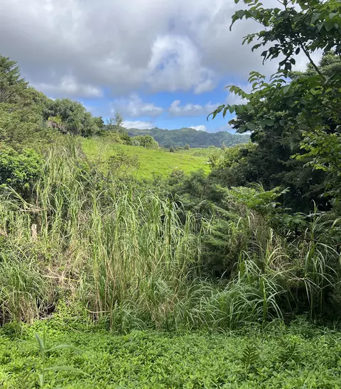Puuwai Rd, Kalaheo, HI 96741
