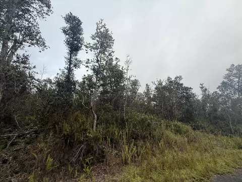 92-9172 Tree Fern Ln, Ocean View, HI 96737