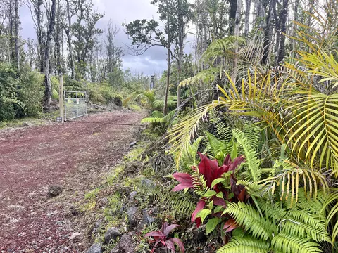 Other - Undisclosed, Volcano, HI 96785 photo 4 of 7
