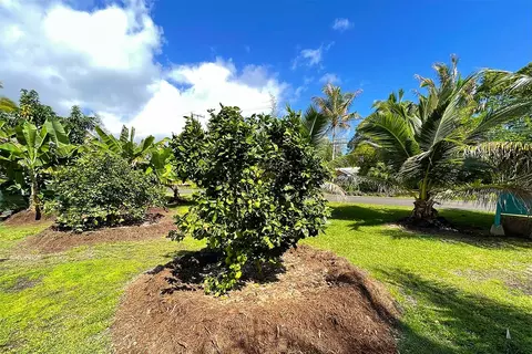 Mapuana Ave, Pahoa, HI 96778 photo 10