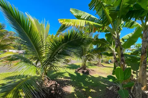 Mapuana Ave, Pahoa, HI 96778 photo 14