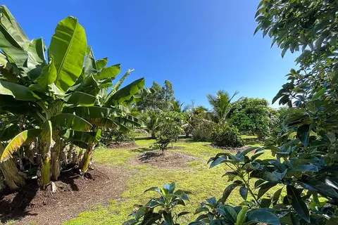 Mapuana Ave, Pahoa, HI 96778 photo 19