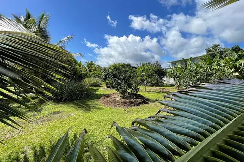 Mapuana Ave, Pahoa, HI 96778 photo 7