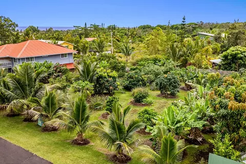 Mapuana Ave, Pahoa, HI 96778 photo 13