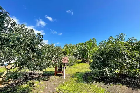 Mapuana Ave, Pahoa, HI 96778 photo 21