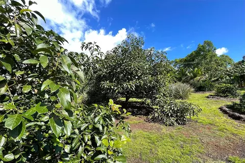 Mapuana Ave, Pahoa, HI 96778 photo 23