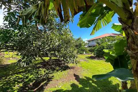 Mapuana Ave, Pahoa, HI 96778 photo 24