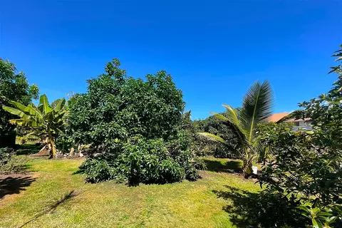 Mapuana Ave, Pahoa, HI 96778 photo 7