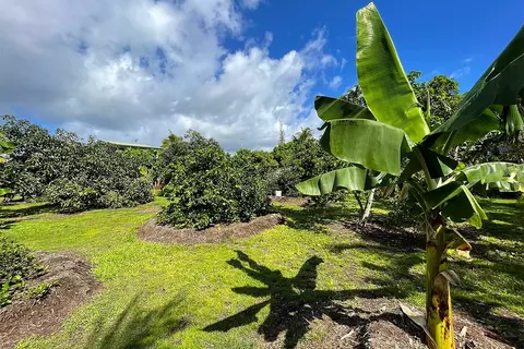 Mapuana Ave, Pahoa, HI 96778 photo 25
