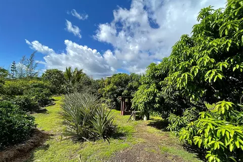 Mapuana Ave, Pahoa, HI 96778 photo 13