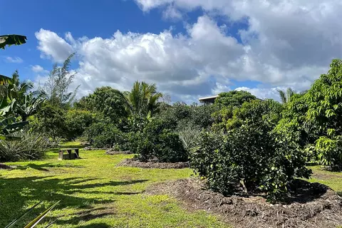 Mapuana Ave, Pahoa, HI 96778 photo 26