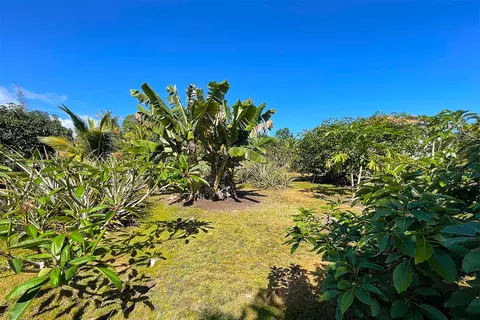 Mapuana Ave, Pahoa, HI 96778 photo 8