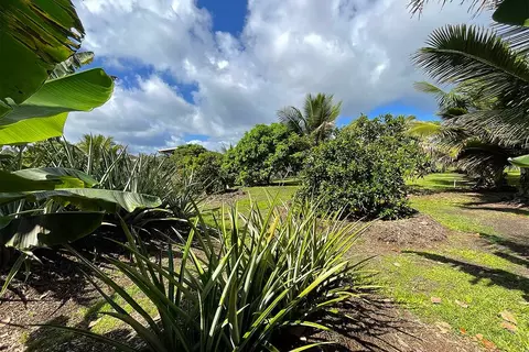 Mapuana Ave, Pahoa, HI 96778 photo 27