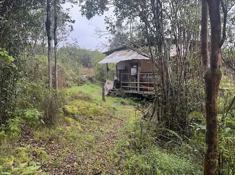 Road 2, Mountain View, HI 96760