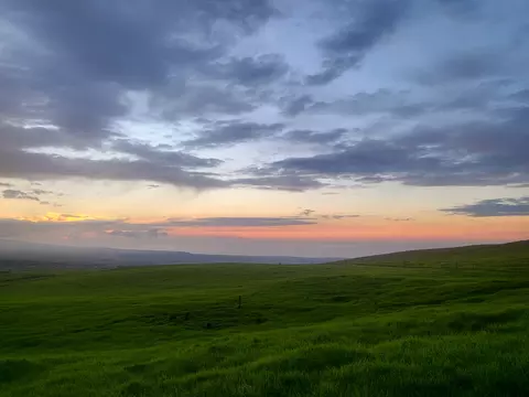 67-1148 Wainoenoe Rd, Kamuela, HI 96743