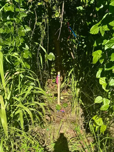 1501 Oio St, Pahoa, HI 96778