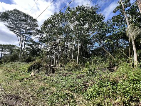 Mauna Kea Rd, Pahoa, HI 96778