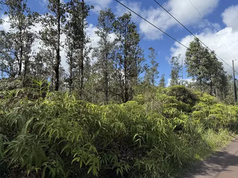 Road 2, Mountain View, HI 96760