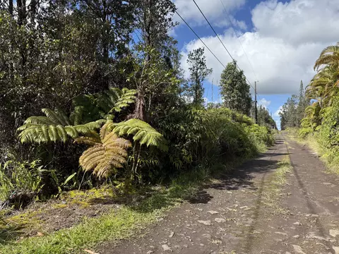 Road 2, Mountain View, HI 96760 photo 3