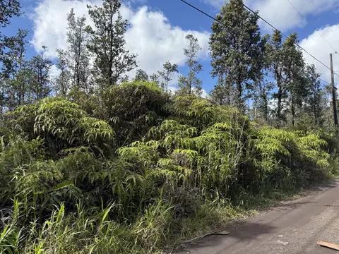 Road 2, Mountain View, HI 96760 photo 4