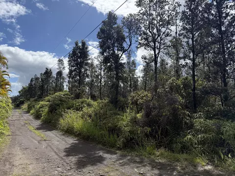 Road 2, Mountain View, HI 96760 photo 5