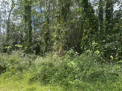 Undisclosed, Keaau, HI 96749