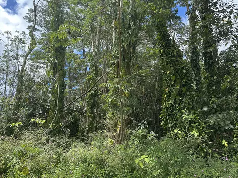 Undisclosed, Keaau, HI 96749