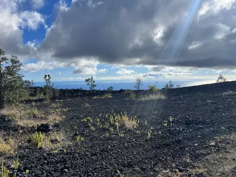 Lehua Ln, Ocean View, HI 96737