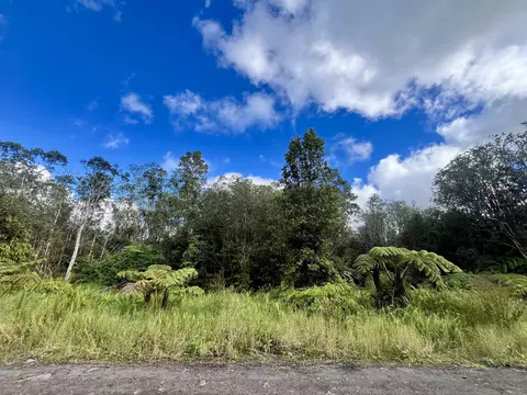 Road 5, Volcano, HI 96785