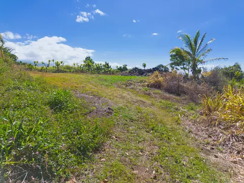 82-1088 Koa Rd, Captain Cook, HI 96704