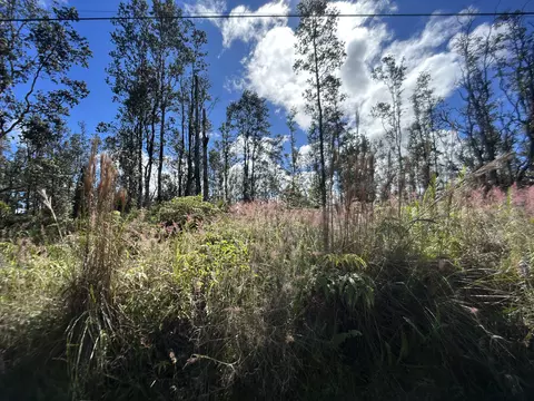 Road G, Mountain View, HI 96760