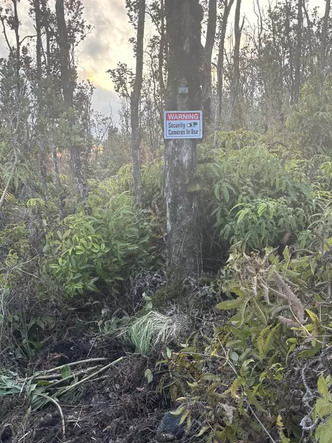 Ohialani Rd, Volcano, HI 96785 photo 4