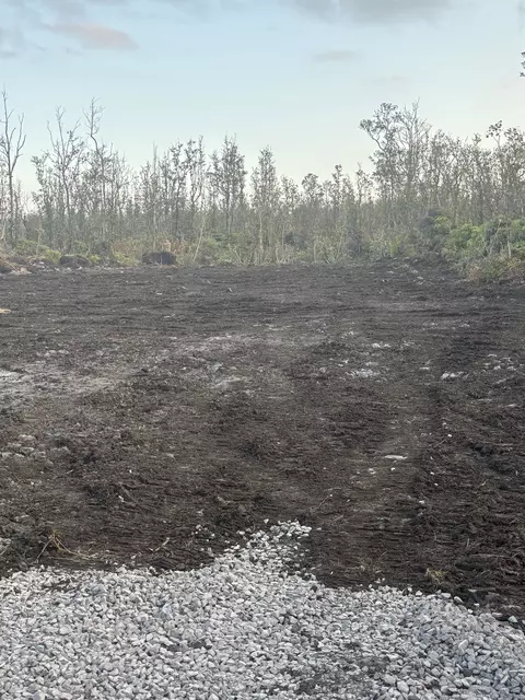 Ohialani Rd, Volcano, HI 96785 photo 3