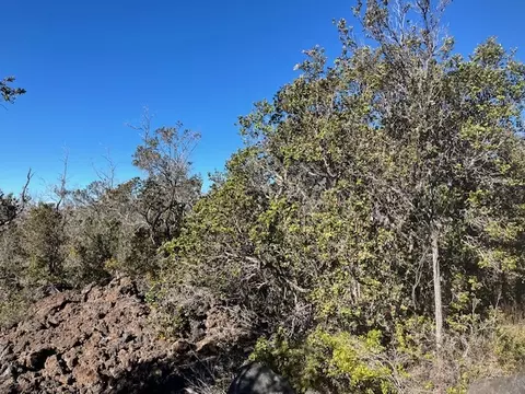 Koa Ln, Ocean View, HI 96737