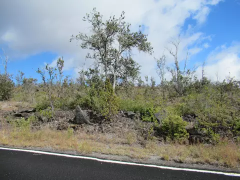 Pineapple Pkwy, Ocean View, HI 96737