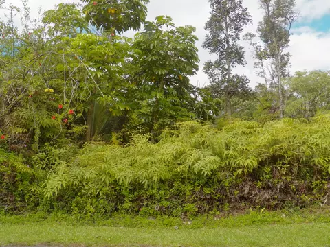 12-559 Diamond Head Dr, Pahoa, HI 96778