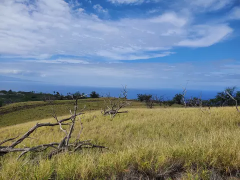 Kaala Rd, Kamuela, HI 96743