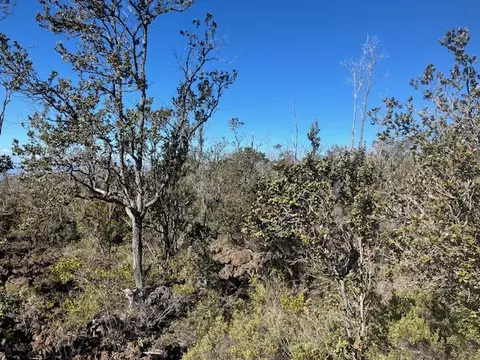 Koa Ln, Ocean View, HI 96737