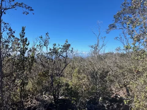 Koa Ln, Ocean View, HI 96737