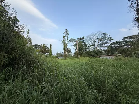 Silversword Ct, Kurtistown, HI 96760