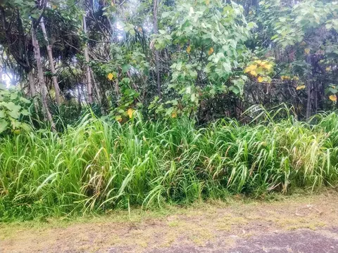 Koaekea St, Pahoa, HI 96778